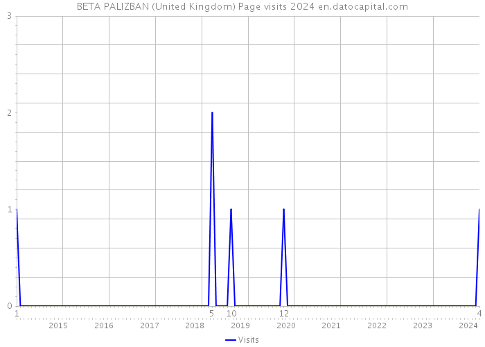 BETA PALIZBAN (United Kingdom) Page visits 2024 
