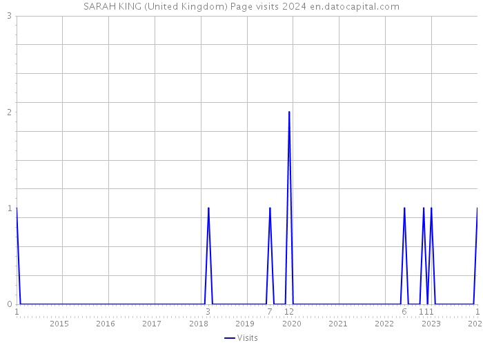 SARAH KING (United Kingdom) Page visits 2024 