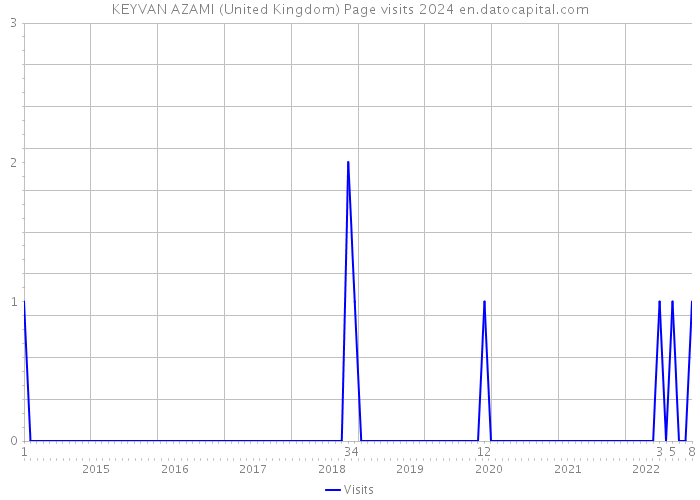 KEYVAN AZAMI (United Kingdom) Page visits 2024 