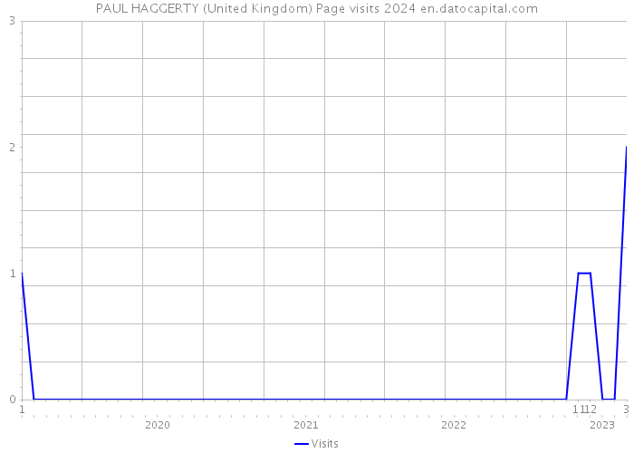 PAUL HAGGERTY (United Kingdom) Page visits 2024 
