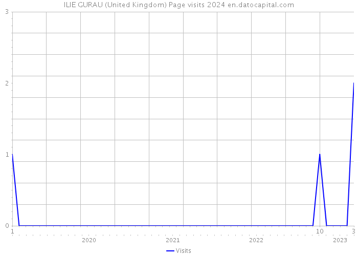 ILIE GURAU (United Kingdom) Page visits 2024 