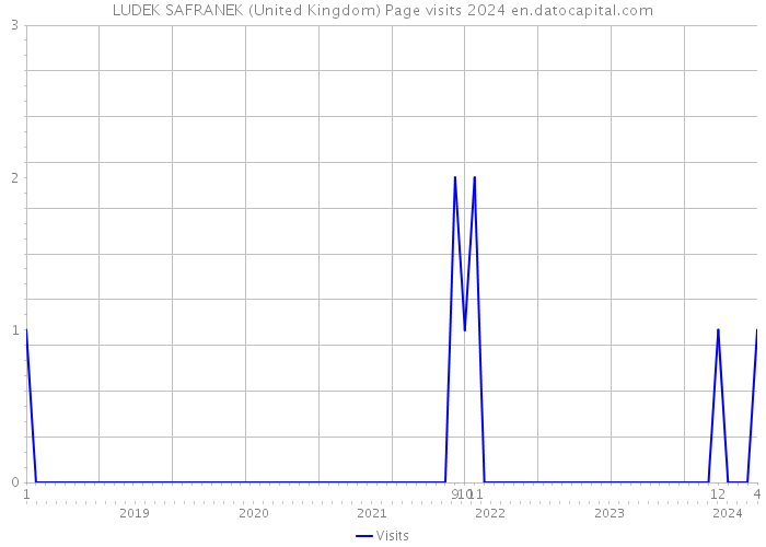 LUDEK SAFRANEK (United Kingdom) Page visits 2024 