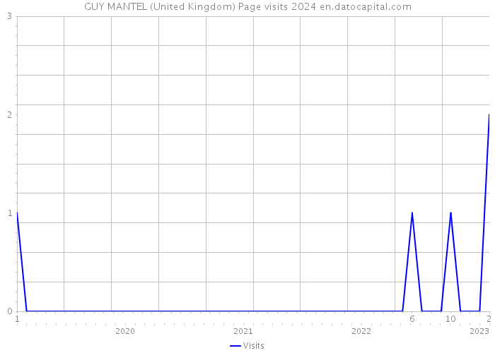 GUY MANTEL (United Kingdom) Page visits 2024 