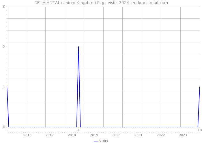 DELIA ANTAL (United Kingdom) Page visits 2024 