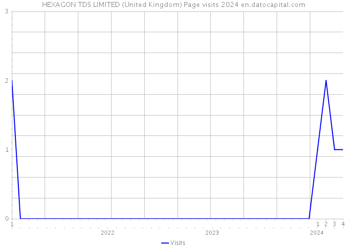 HEXAGON TDS LIMITED (United Kingdom) Page visits 2024 