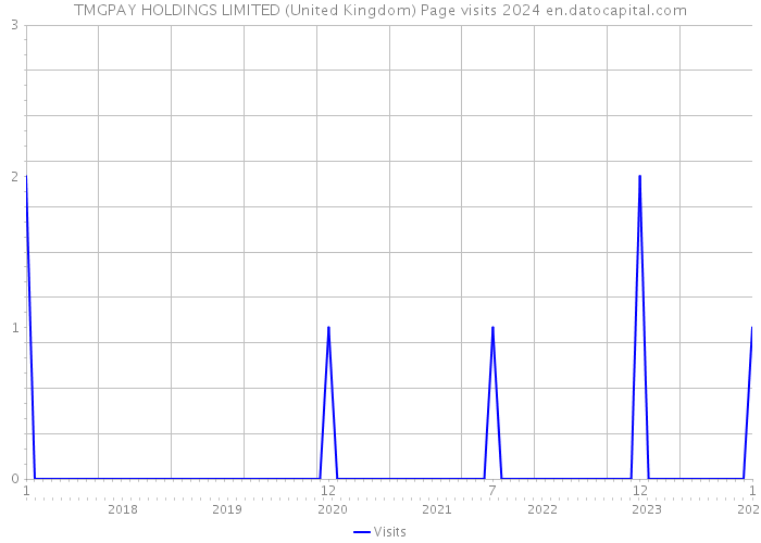 TMGPAY HOLDINGS LIMITED (United Kingdom) Page visits 2024 