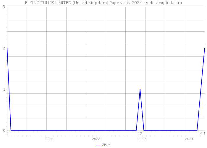 FLYING TULIPS LIMITED (United Kingdom) Page visits 2024 