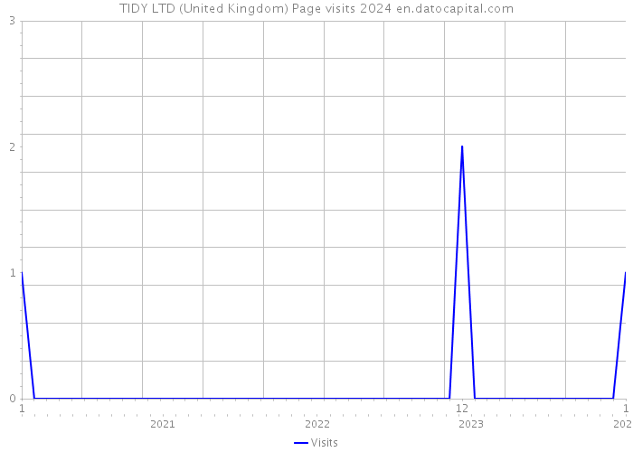 TIDY LTD (United Kingdom) Page visits 2024 