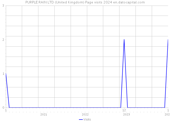 PURPLE RAIN LTD (United Kingdom) Page visits 2024 