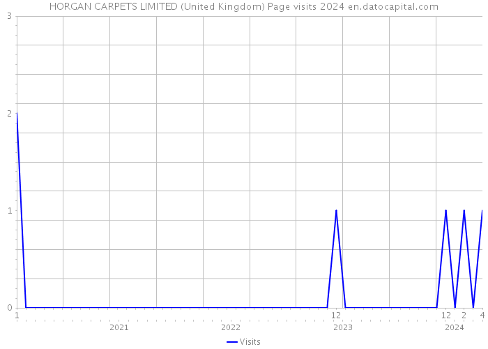HORGAN CARPETS LIMITED (United Kingdom) Page visits 2024 