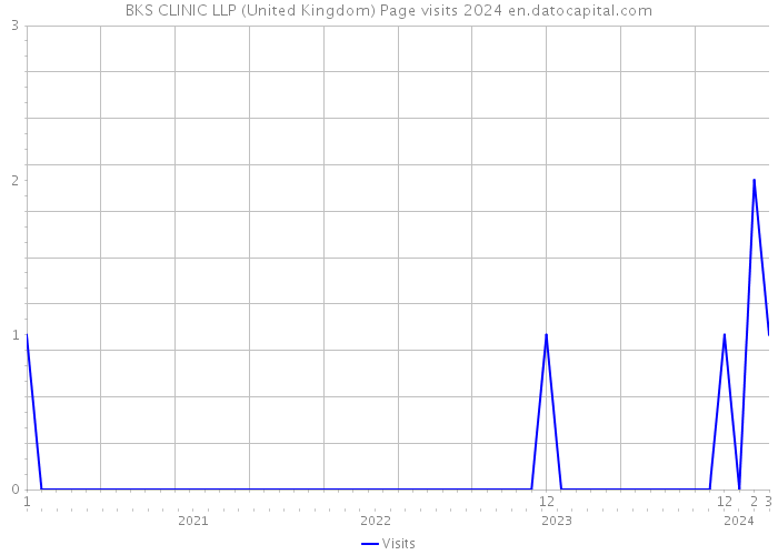 BKS CLINIC LLP (United Kingdom) Page visits 2024 