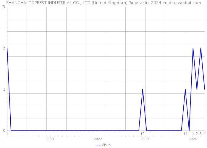 SHANGHAI TOPBEST INDUSTRIAL CO., LTD (United Kingdom) Page visits 2024 