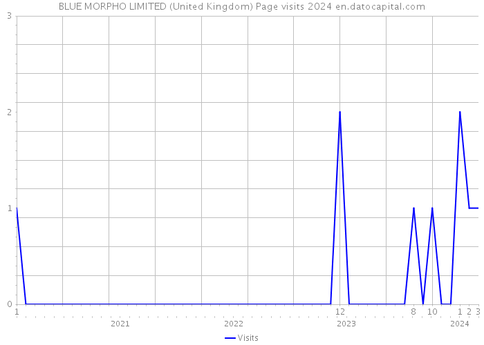 BLUE MORPHO LIMITED (United Kingdom) Page visits 2024 