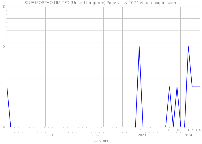 BLUE MORPHO LIMITED (United Kingdom) Page visits 2024 