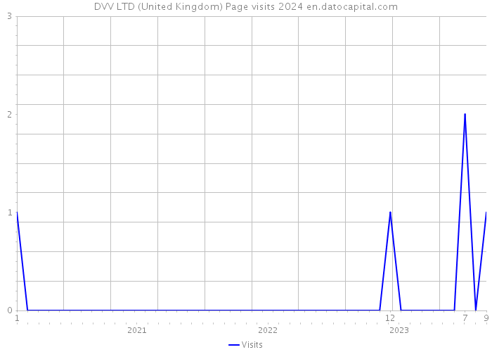 DVV LTD (United Kingdom) Page visits 2024 