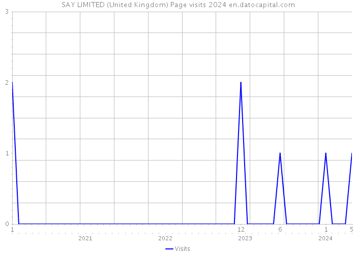 SAY LIMITED (United Kingdom) Page visits 2024 