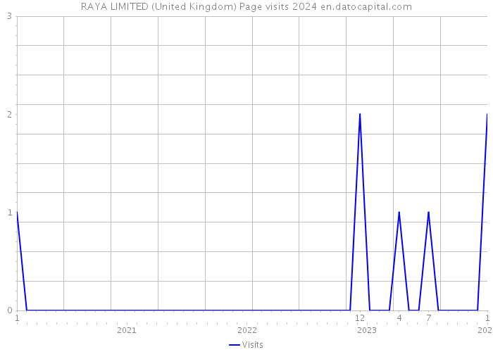 RAYA LIMITED (United Kingdom) Page visits 2024 