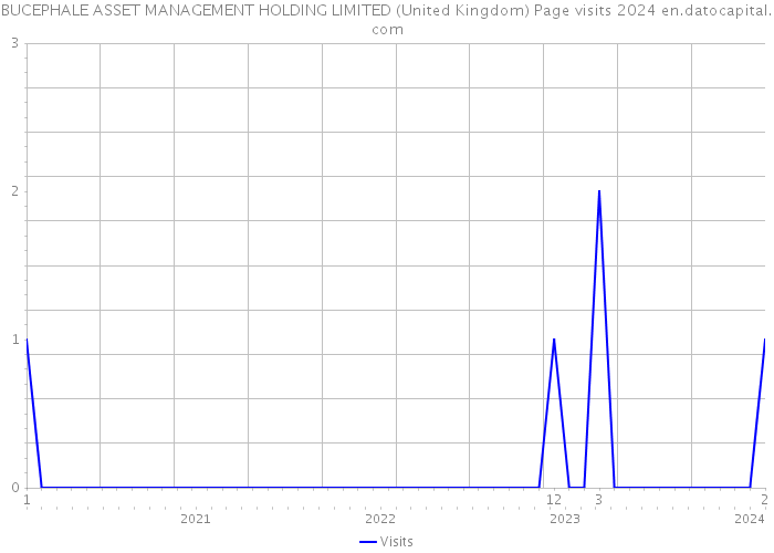 BUCEPHALE ASSET MANAGEMENT HOLDING LIMITED (United Kingdom) Page visits 2024 