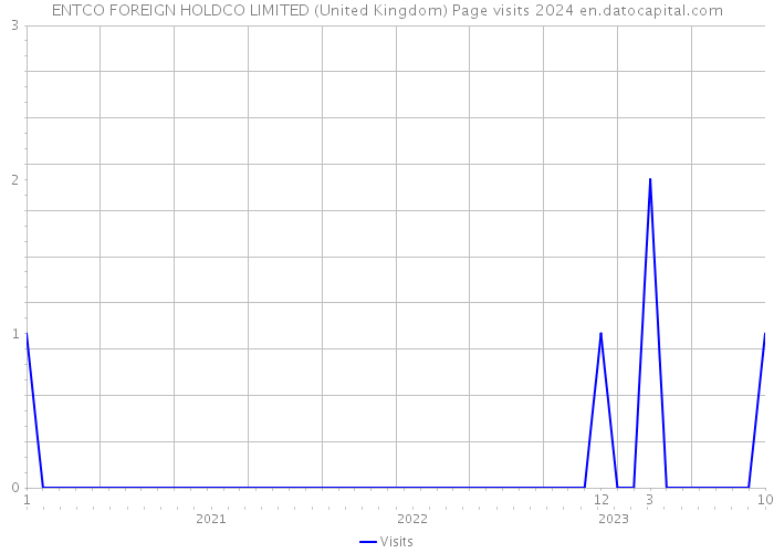 ENTCO FOREIGN HOLDCO LIMITED (United Kingdom) Page visits 2024 
