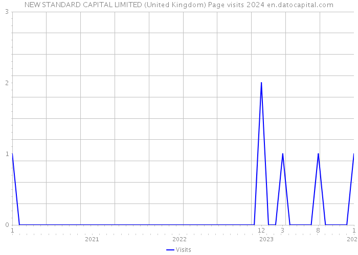 NEW STANDARD CAPITAL LIMITED (United Kingdom) Page visits 2024 