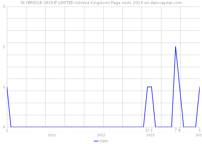 SKYBRIDGE GROUP LIMITED (United Kingdom) Page visits 2024 