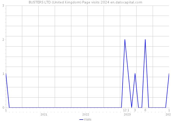 BUSTERS LTD (United Kingdom) Page visits 2024 