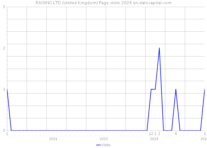 RAISING LTD (United Kingdom) Page visits 2024 