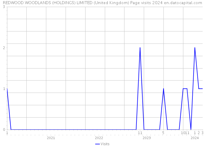 REDWOOD WOODLANDS (HOLDINGS) LIMITED (United Kingdom) Page visits 2024 