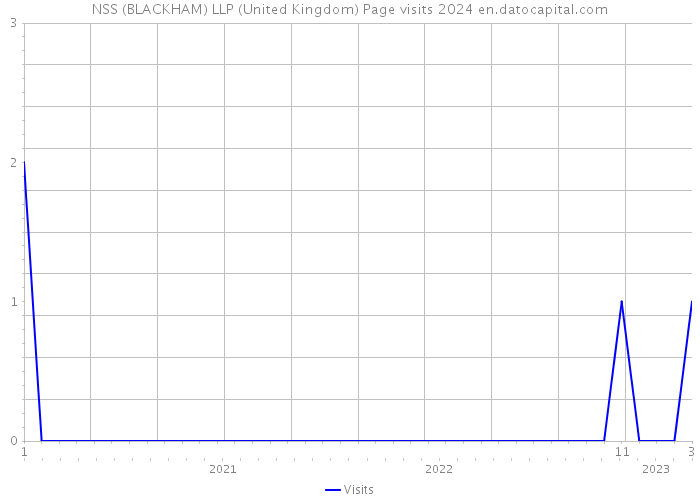 NSS (BLACKHAM) LLP (United Kingdom) Page visits 2024 