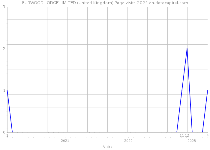 BURWOOD LODGE LIMITED (United Kingdom) Page visits 2024 