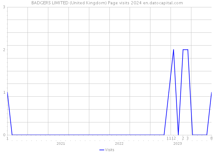 BADGERS LIMITED (United Kingdom) Page visits 2024 