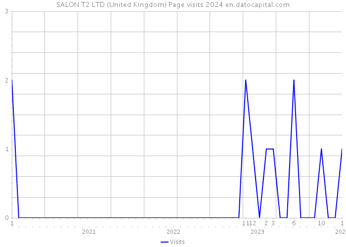 SALON T2 LTD (United Kingdom) Page visits 2024 