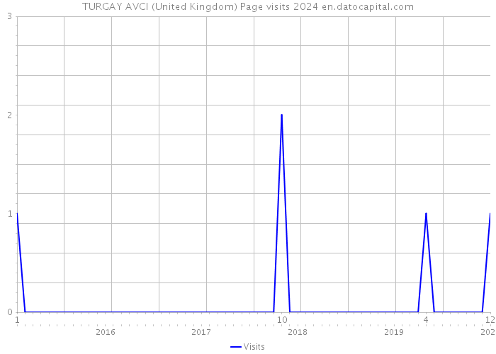 TURGAY AVCI (United Kingdom) Page visits 2024 