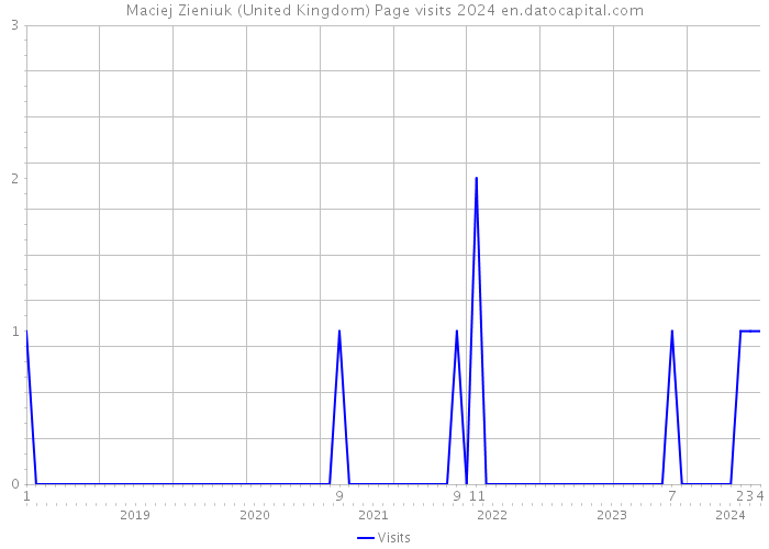 Maciej Zieniuk (United Kingdom) Page visits 2024 