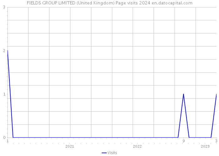 FIELDS GROUP LIMITED (United Kingdom) Page visits 2024 