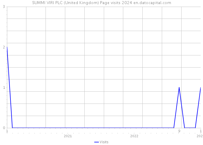 SUMMI VIRI PLC (United Kingdom) Page visits 2024 