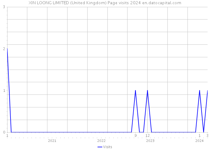 XIN LOONG LIMITED (United Kingdom) Page visits 2024 