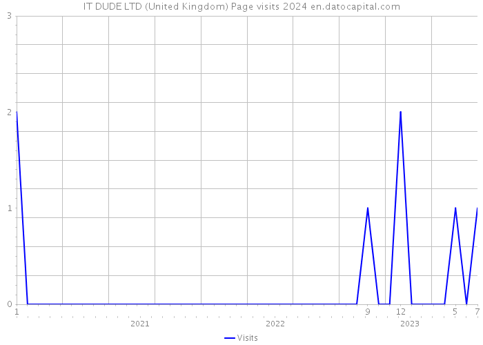 IT DUDE LTD (United Kingdom) Page visits 2024 