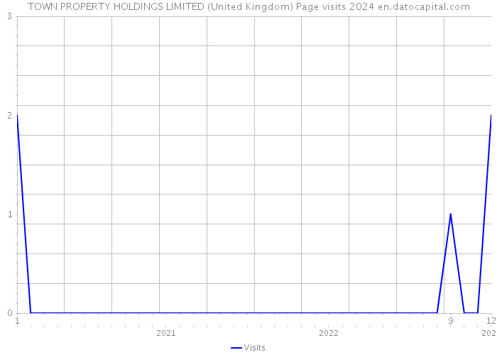 TOWN PROPERTY HOLDINGS LIMITED (United Kingdom) Page visits 2024 