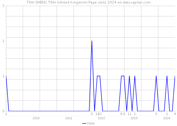TSAI SHENG TSAI (United Kingdom) Page visits 2024 