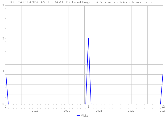 HORECA CLEANING AMSTERDAM LTD (United Kingdom) Page visits 2024 