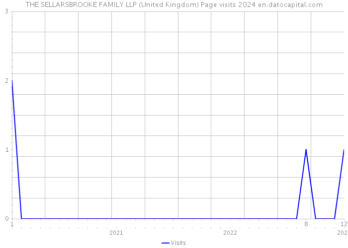 THE SELLARSBROOKE FAMILY LLP (United Kingdom) Page visits 2024 