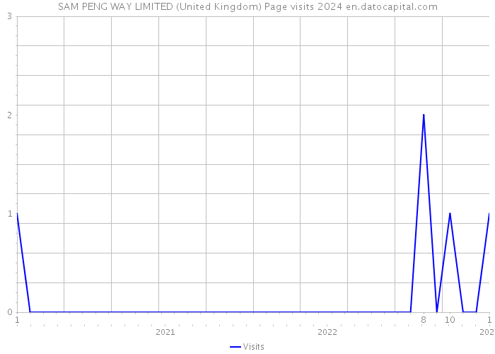 SAM PENG WAY LIMITED (United Kingdom) Page visits 2024 