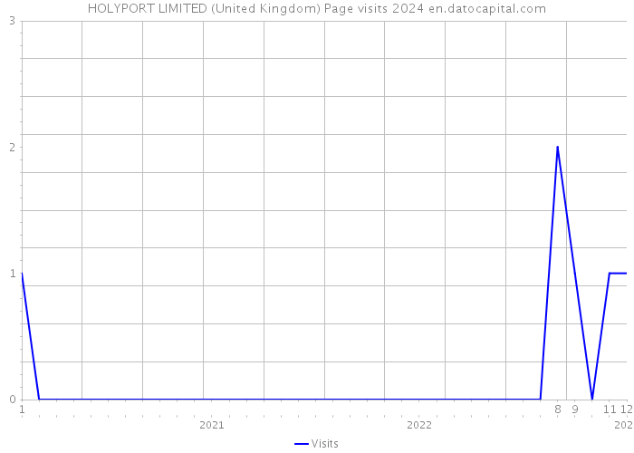 HOLYPORT LIMITED (United Kingdom) Page visits 2024 