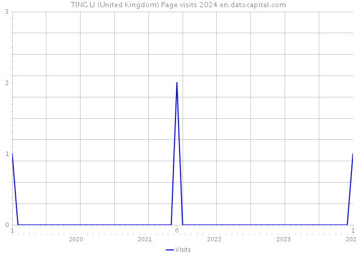 TING LI (United Kingdom) Page visits 2024 