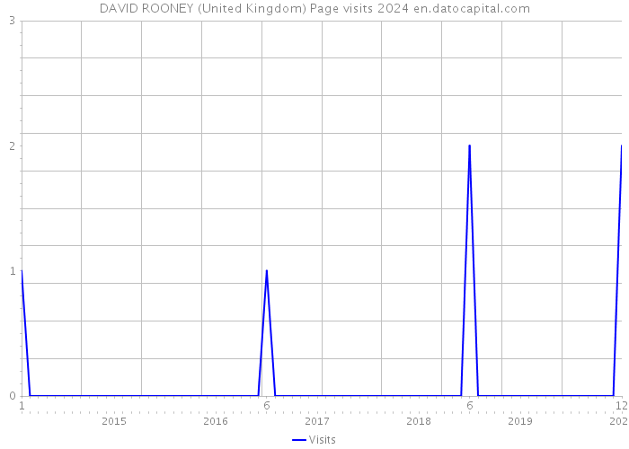 DAVID ROONEY (United Kingdom) Page visits 2024 