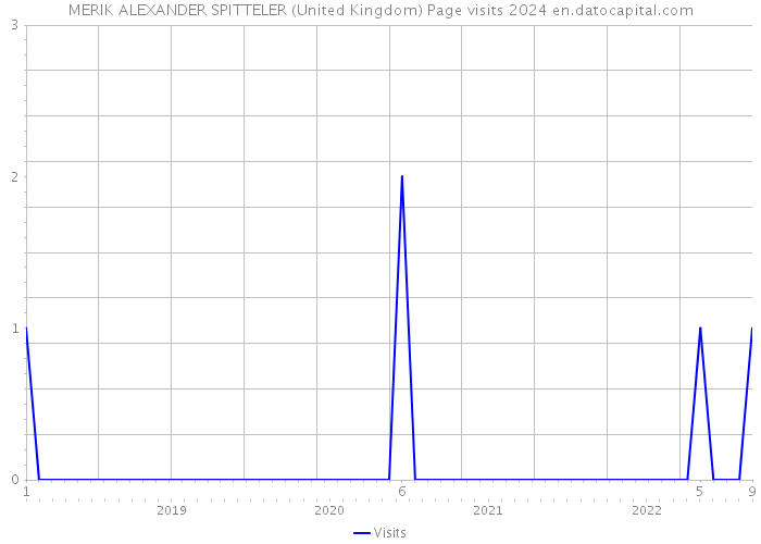 MERIK ALEXANDER SPITTELER (United Kingdom) Page visits 2024 