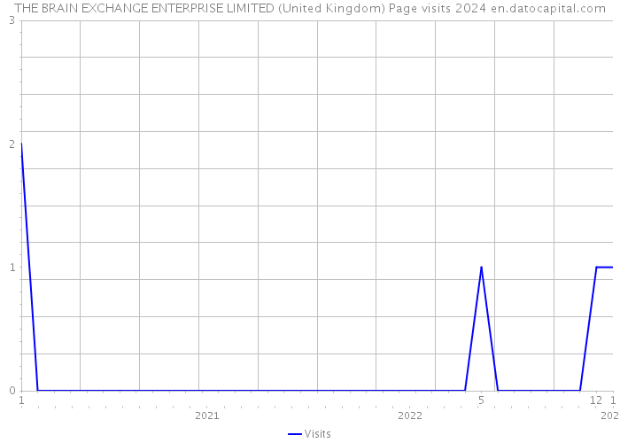 THE BRAIN EXCHANGE ENTERPRISE LIMITED (United Kingdom) Page visits 2024 