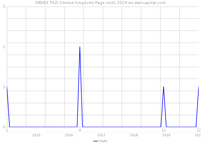 MEHDI TAZI (United Kingdom) Page visits 2024 