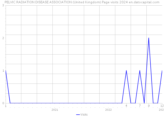 PELVIC RADIATION DISEASE ASSOCIATION (United Kingdom) Page visits 2024 